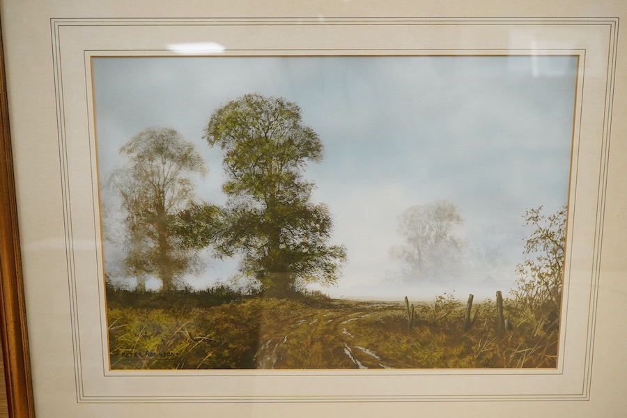 Peter Robinson (contemporary), Rural landscapes, each signed, two gouaches, largest 27 x 38cm